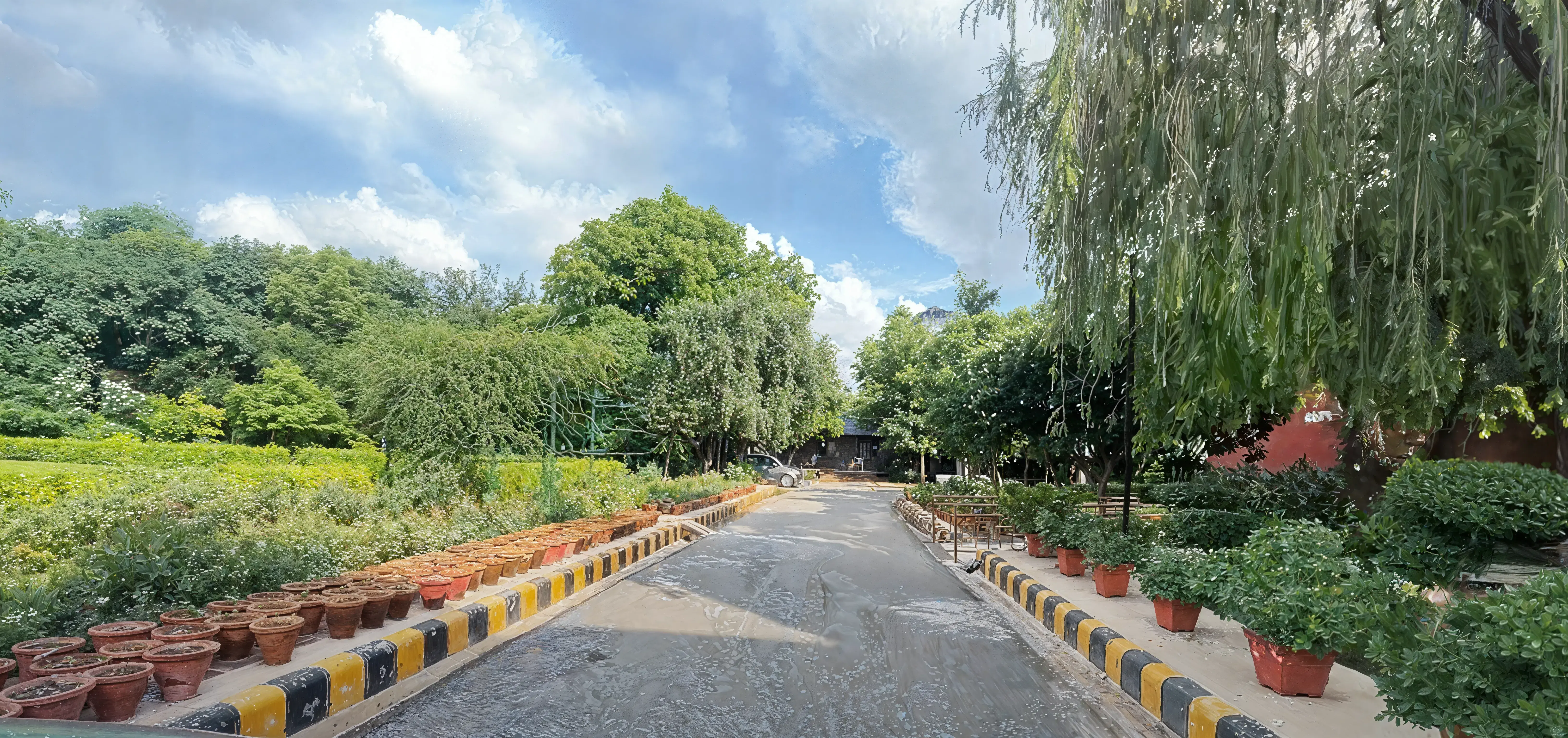 Maitreyi College Campus photo 19